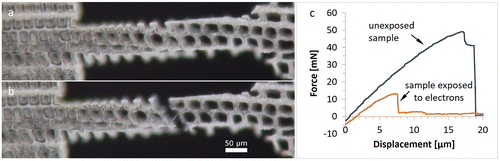 Figure 9. Optical micrographs of a radial sample exposed to the electron beam in the SEM. (a) Unloaded specimen; (b) failure through fibre debonding; (c) force-displacement diagrams of the shown sample and an unexposed sample on the same thin section.