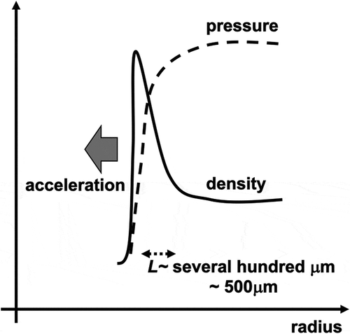Figure 5. Schematic diagram of density and pressure profiles of imploding spherical fuel target. The solid curve shows the density profile, and the dotted line the pressure profile. In HIF target implosion, HIB stopping range is relatively large and ~ 500–700μm, depending on the ion particle energy. The pressure gradient scale length is long as well, and the density gradient scale length L is also large ~several hundreds of μm or so