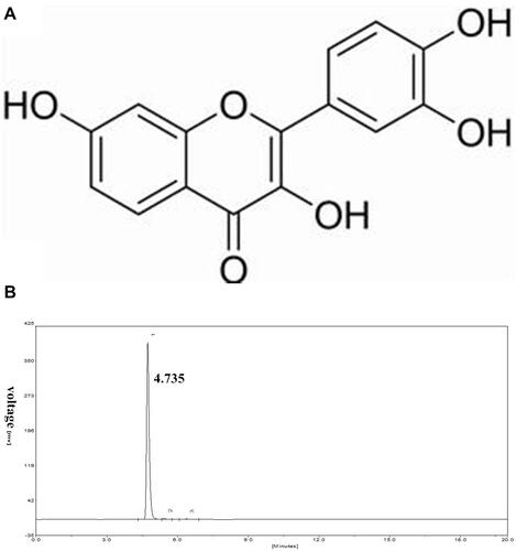 Figure 1 (A) The chemical structure of fisetin. (B) HPLC chromatogram of fisetin.