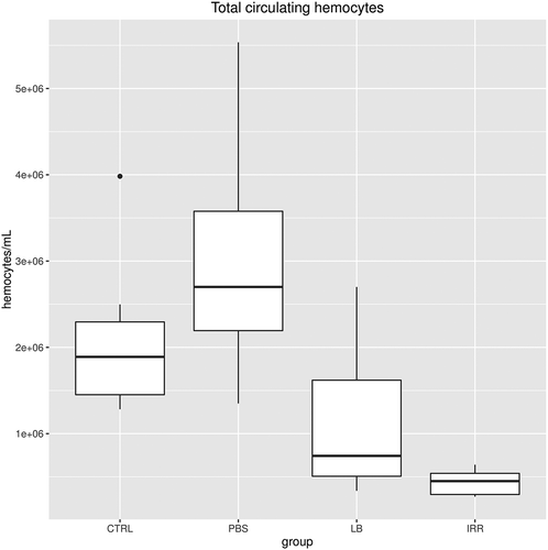 Figure 5. Total circulating haemocytes from control (CTRL), PBS group (PBS), latex beads (LB) and irradiated (IRR) groups.