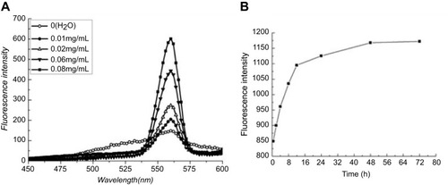 Figure 2 (A) The fluorescence emission spectra of mangiferin (MA, 50 μg/mL) in aqueous solutions with various concentrations of RADA16-I (0–0.08 mg/mL). (B) Fluorescence intensity of MA at 560 nm in a suspension with RADA16-I under magnetic stirring at different time points. [MA]=200 μg/mL, [RADA16-I]=500 μg/mL. The excitation wavelength was set at 277 nm.