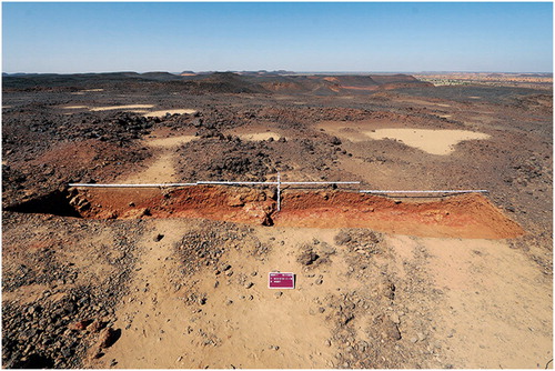 Figure 5. Overview photograph of trench M2-M4-M5, with sediment traps visible in the background and the trench running through sediment traps of differing depths in the foreground.