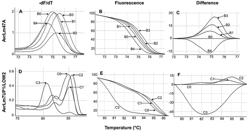 Fig. 4 High-resolution melting curves obtained from PCR-amplified segments of the AvrLm4-7 gene with the primers AvrLm47A and AvrLm7UP1/LOW2. A and D represent the derivative melting curves. B and E represent the loss of fluorescence normalized curves plotted against increasing temperature. C and F are difference graphs derived from the normalized data in which groups B0 and C0 were subtracted. C, melting profiles obtained using the set of primers AvrLm47A. B0 (A4A7), B1, B2, and B3 (a4A7), B4 (a4a7). F, melting profiles obtained using the primers AvrLm7UP1/LOW2, C0 (A4A7), C1 and C2 (a4A7), and C3 (a4a7).