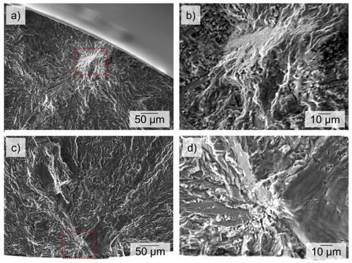 Figure 7. Internal fatigue crack initiation from inclined α-phases in the VHCF regime. The crack initiating clusters of α-phase: (a, b) Crack initiation at 20μm beneath the surface (σa = 471 MPa, Nf = 1.8×108), (c, d) Internal crack initiation (σa = 471 MPa, Nf = 4.6×108) [Citation98].