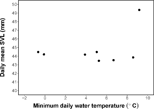 Figure 3. Daily mean SVL (mm) of newts captured in 2016. There was not a significant relationship between size and minimum daily water temperature (°C).