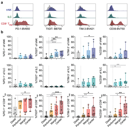 Figure 3. Immune checkpoint receptor expression on tissue-resident lymphocytes in lung tumors. (a) Representative overlays of expression of PD-1, TIGIT, TIM-3, and CD39 on trNK cells, ILCs, and CD8+ TRM cells in the tumor center. Gray histograms represent FMO controls. (b) Frequencies of trNK cells, ILCs, and CD8+ TRM cells expressing PD-1, TIGIT, TIM-3, or CD39 in different tumor-free tissues or tumor tissues (n = 6–16). Friedman test, Dunn’s multiple comparisons test (patient-matched, black); Kruskal–Wallis test (unmatched, gray). Mean indicated as ‘+’. *p < 0.05, **p < 0.01, ***p < 0.001.