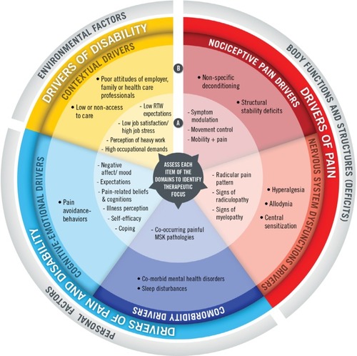 Figure 1 Pain and disability driver management model. (A) refers to more common and/or modifiable elements; (B) refers to elements that are more complex and less modifiable, and that will prompt more aggressive or require interdisciplinary care to effectively address the problematic domain.