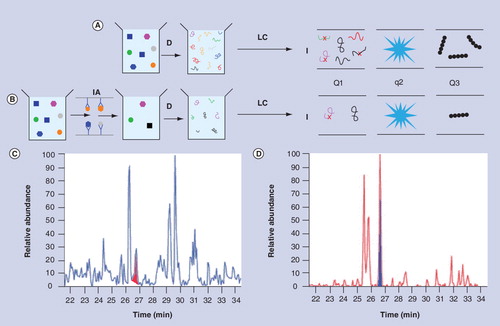 Figure 1. Effect of depleting abundant proteins on sensitivity of mass spectrometry.(A) Multiple reaction monitoring analysis of whole plasma. (B) Multiple reaction monitoring analysis of whole plasma with immuno-affinity depletion of abundant proteins. (C) Ion-current plot without IA depletion with peak corresponding to gelsolin shaded in red. (D) Ion-current plot with IA depletion of 20 abundant proteins with peak corresponding to gelsolin shaded in blue.D: Enzymatic digestion of sample; I: Ionization of peptides; IA: Immuno-affinity; LC: Liquid chromatography; Q1: Analyzer 1; q2: Collision cell; Q3: Analyzer 2.