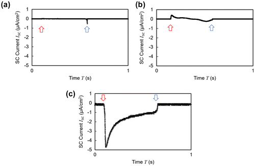 Figure 6. Short circuit current wave profiles of samples shown in Table 1. The red arrow indicates the contact point and the blue arrow indicates the releasing point. (a) Ionic liquid free polymer. (b) Charge-fixed polymer without polarization. (c) Surface-charge-fixed polymer with polarization.