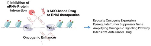 Figure 3. A potential application of eRNA-targeting therapeutics in cancer intervention.