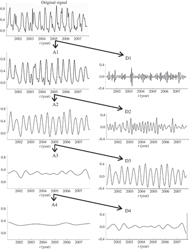 Figure 3. The structure of multilevel wavelet decomposition tree for the EVI time series.