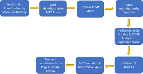 Figure 1. Presentation of workflow implemented in the present investigation.