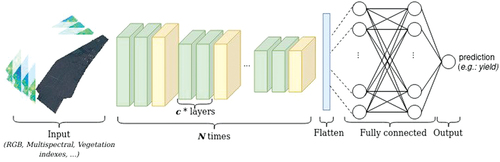 Figure 4b. General architecture of a CNN in the case of regression. Here is the example of yield prediction from an aerial or satellite image. The output is a numerical and continuous value that indicates the yield of the field in input.