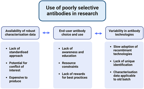 Figure 1. Determinants of the use of poorly selective antibodies in research.