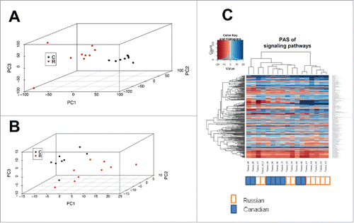 Figure 1. Bladder carcinoma data sets assessed at the level of individual gene expression and pathway activation. (A) principal component analysis (PCA) plot for transcriptomes from data sets obtained in Russia (red dots) and Canada (black dots), at the level of individual gene expression. (B) PCA plot at the level of molecular pathway activation. (C) hierarchical clustering dendrogram of the data sets obtained in Russia (marked white) and Canada (marked blue), at the level of molecular pathway activation.