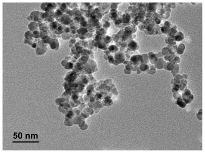 Figure 1 Transmission electron microscope image of magnetic Fe3O4 nanoparticles.