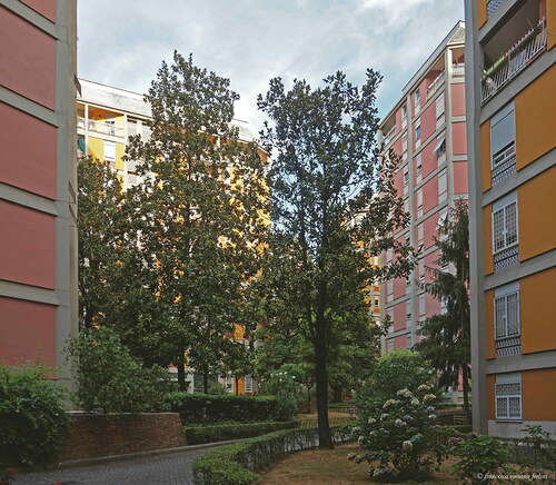 Figure 3 Francesca Romana Forlini, Gardens of Viale Etiopia’s towers, Mario Ridolfi and Wolfgang Frankl architects, Rome, 2019.