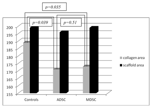 Chart 4. Correlation between collagen formation and scaffold area in the three groups at eight weeks.