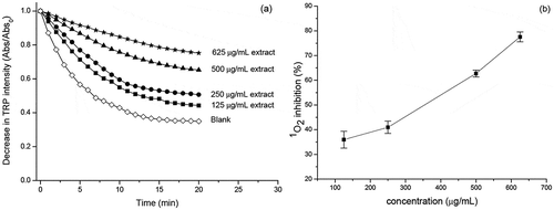 Figure 3. (a) Decay of the intensity of the absorbance of tryptophan in the presence of the methylene blue and extract of the Eryngium foetidum L. leaves and (b) percentage of inhibition of the1O2 as a function of the concentration of the extract of the Eryngium foetidum L. leaves. The experiments were carried out in four concentrations and n = 3 (Mean ± standard deviation).