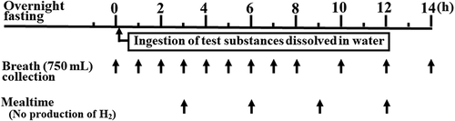 Figure 1. Experimental protocol.Figura 1. Protocolo experimental