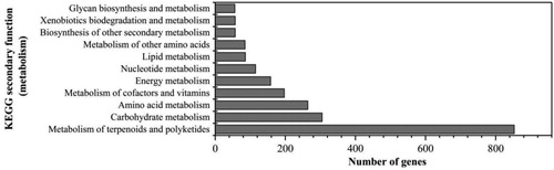 Figure 3. KEGG metabolic pathway metabolic part classification statistical figure of Serratia nematodiphila DH-S01.