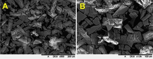 Figure 5 SEM images of Ho(acac)3×3H2O in Tabletop Microscope TM3000. Magnifications: (A) 500× and (B) 1000×.Abbreviation: SEM, scanning electron microscopy.