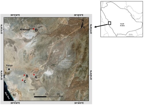 Figure 1. The main sites of the studied populations of S. persica in Rapigh province, A: Wadi Al Hakak; B: Wadi EL Khaneg; C: Wadi Al Johfa; D: Wadi Khurieba.