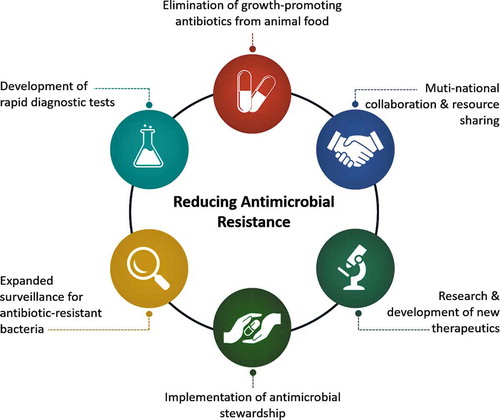 Figure 1. The schematic diagram is showing the main steps needed to be implemented to minimize the antimicrobial drug resistance