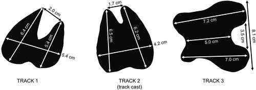 Figure 7. Track measurements.