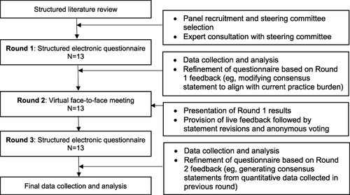 Figure 1 Schematic of the modified Delphi method utilized in the study.