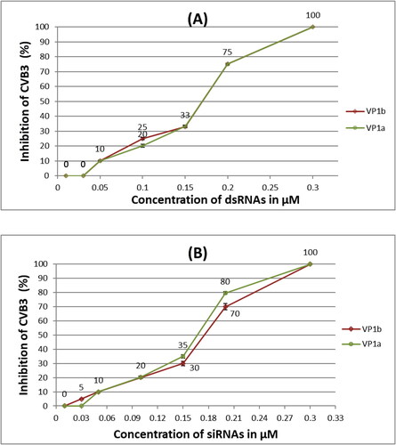 Figure 2. Antiviral assay of different concentrations of dsRNAs (A) and siRNAs (B) specific for two sequences (a and b) of the VP1 genetic region of CVB3 in HEp-2 cells transfected with Oligofectamine™.Note: Values are mean from four replicates, rounded to an integer, with standard deviation error bars.