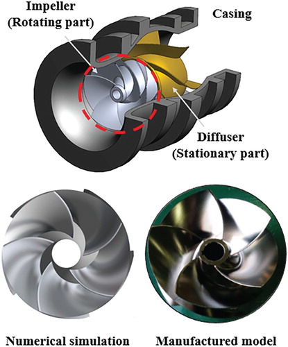 Figure 2. Numerical and manufactured shape of the mixed-flow pump.