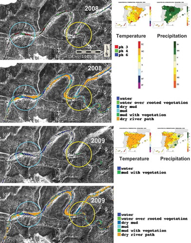 Fig. 4 (left) The first input of intensely contaminated water in the river: maps of (a) deep water with different pH and (b) water, from HyMap data on 1 August 2008. Maps of (c) deep water and (d) water, from HyMap data on 13 August 2009. Right: seasonal summer maps of temperature and precipitation for the corresponding years (source: AEMET). Temperature legend: EC: extremely warm (exceeds maximum recorded for the reference period 1961–1990); MC: very warm (within 20% of the span of the warmest years of 1961–1990); C: warm (within 20% and 40% of the warmest years of 1961–1990); N: normal within 40% and 60% of 1961–1990); F: cold (within 60% and 80% of 1961–1990); MF: very cold (within 80% of 1961–1990); EF: extremely cold (temperatures recorded do not reach the minimum value recorded during the reference period). Precipitation: EH: extremely wet (precipitation exceeded the maximum recorded for the reference period 1971–2000); MH: very wet (within 20% of the span of wettest years of 1971–2000); H: wet (within 20% and 40% of wettest years); S: dry (within 60% and 80% of 1971–2000); MS: very dry (within the 80% of 1971–2000); ES: extremely dry (precipitation does not reach the minimum value recorded during 1971–2000).