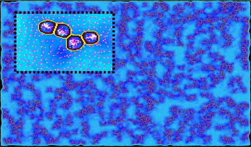Figure 1. 2D visualisation of a simulation where virtual cells react to and deform the gel (dots), causing mechanical constraints (heatmap) and fiber reorientation (vectors). Scales are arbitrary here.