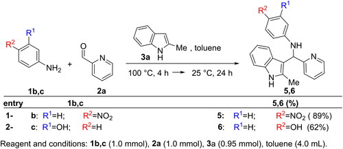 Scheme 2. Modification at the aromatic aniline-ring: synthesis of 5 and 6.