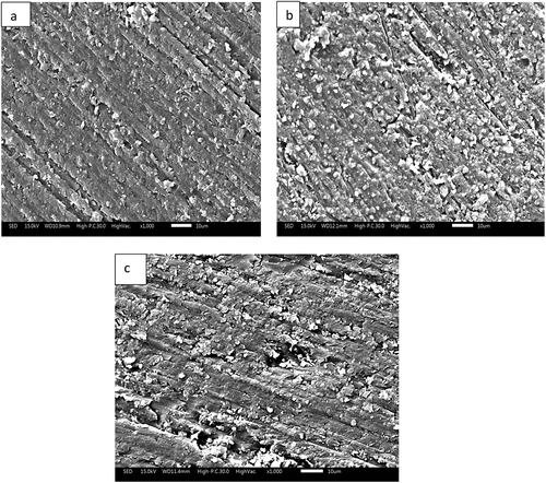 Figure 11. Scanning Electron Micrograph (SEM) of epoxy composites reinforced with (a) 3 wt.%, (b) 9 wt.% and (c) 12 wt.% plantain leaf fibers (PLF).