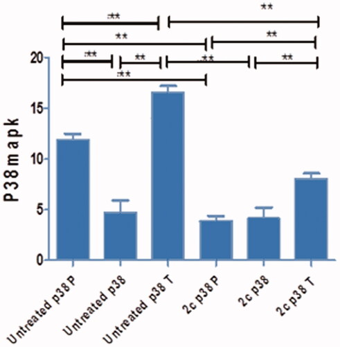 Figure 8. Graphical representation to show that 2c treated MCF-7 cells decreased both total p38 MAPK (p38T) and phosphorylated p38 MAPK (p38P) compared to untreated MCF-7 cells.