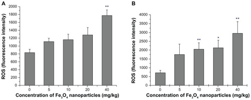 Figure 5 ROS level of liver and kidney homogenates. (A) presents the data of Liver and (B) the data of Kidney.Notes: Compared with the control group, *indicates 0.01 < P < 0.05, **indicates P < 0.01.Abbreviation: ROS, reactive oxygen species.