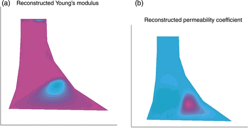 Figure 4. Reconstruction results where both E(x) (a) and k(x) (b) have been updated independently by the iteration in (16).