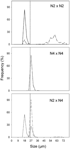 Fig. 18. Size distributions in Ditylum brightwellii N2  × N4 cross over time. Straight line represents day 0, dashed line represents day 5. Day 0, n  = 50 (intraclonal crosses), n  = 200 (interclonal crosses); day 5, n  = 200 (all treatments). The dotted line is the upper size limit for gametogenesis observed in lab experiments.