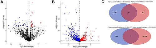 Figure 2 Differential expression analysis. (A) Volcano plot of differentially expressed microRNAs in the GSE64989 dataset. (B) Volcano plot of differentially expressed microRNAs in the TCGA hepatocellular carcinoma dataset. Red indicates up-regulated, blue indicates down-regulated, and gray indicates not significantly different. (C) Overlap of up-regulated miRNAs and down-regulated miRNAs in the two comparison-pairs (see Methods) were visualized on the Venn diagram. miRNA, microRNA.