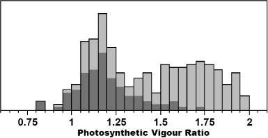 Figure 3 Histogram of the mean photosynthetic vigour ratio (PVR) response from all KBIs on 2 October 2011 associated with either the early (infected) or control (non-infected) groupings (Table 2). Distribution of the non-infected KBIs is shown as the darker shaded region and is typically located in the range of 0.9–1.4.
