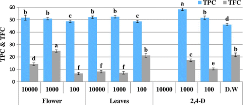 Figure 4. Total phenolic content (TPC μg GAE/mg D.W) and total flavonoid content (TFC μg QE/mg D.W) of allelopathic plantlets exposed to O. bracteatum Wall leaves and flowers extracts at varying concentration along with 2,4-D and dH2O.