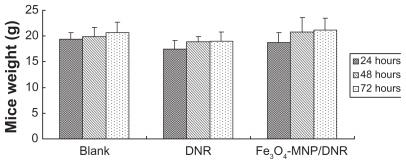 Figure 2 The mice weight after being intraperitoneally injected with magnetic nanoparticles Fe3O4-MNPs/DNR at three different time points.Notes: There was no significant difference in mice weight of the magnetic nanoparticles Fe3O4-MNPs/DNR group, isodose DNR group, and negative group at 24, 48, and 72 hours (P > 0.05).Abbreviations: Fe3O4-MNPs, magnetic Fe3O4 nanoparticles; DNR, daunorubicin.