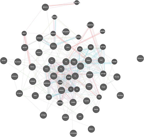 Figure 3B. GeneMANIA analysis [Citation75] showing the 587 connections between 39 genes (dashed circles) linked to venous thromboembolism (dashed circles) [Citation23–25,Citation43,Citation44] and 20 related genes (filled circles) identified by GeneMANIA. Only TSPAN15 has no connections to any other gene. The twenty identified genes by GeneMANIA involve coagulation (F3, F7, F2 R), anticoagulation (TFPI, THBD, SERPINA5), platelets (GP5, GP9, GP1 BA, GP1BB, ADAMTS13), immune system (ITGAD, KIR2DL1, KIR2DS2, KIR2DS1, PYCARD), and genes with unknown potential relation to VTE (HDAC5, WHRN, USP7, FAM175A)