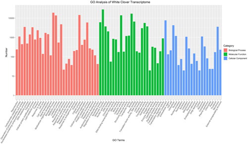 Figure 1. GO annotation results of white clover unique transcripts.GO terms are listed at the X-axis, and the numbers of transcripts grouped in the GO terms are shown on Y-axis. Red bars represent Biological processes; Green bars represent Molecular functions; and blue bars represent cellular components.