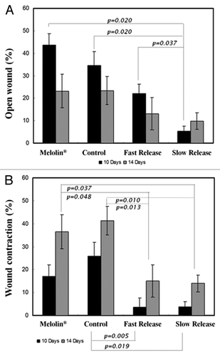 Figure 9. (A) Percentage of open wound measured at 10 and 14 d, with respect to the inflicted wound area (mean ± SEM), (B) Wound contraction as percentage of total wound area measured at 10 and 14 d, with respect to the inflicted wound area (mean ± SEM).Citation111