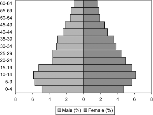 Figure 2: Age–sex distribution from the October Household Survey, 1995