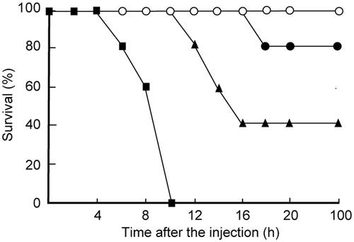 Figure 3. Effect of SMY-540 on the lethality of B. cereus in mice. Mice were intravenously injected with 0.1 or 0.5 mg/kg SMY-540 emulsion. B. cereus (JMU-06B-35, 1.0 × 107 CFU/mouse) was intraperitoneally administered to each mouse 3 h after injection. Mice were monitored every 2 h, for 100 h after administration of B. cereus. The duration of the experiment was set at 100 h. ○, Saline; ▪, B. cereus; ▴, 0.1 mg/kg SMY-540 + B. cereus; •, 0.5 mg/kg SMY-540 + B. cereus.