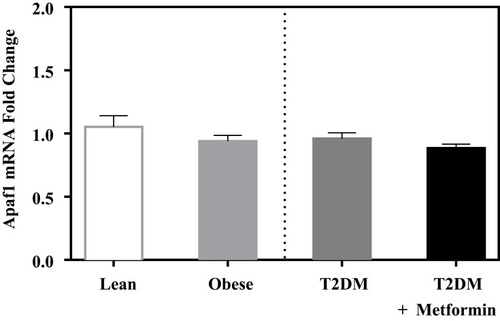 Figure 5 Apoptotic protease activating factor 1 (Apaf1) mRNA expression in PBMC of lean, obese, T2DM, and T2DM on metformin. Results are presented as mean ± S.E.M.